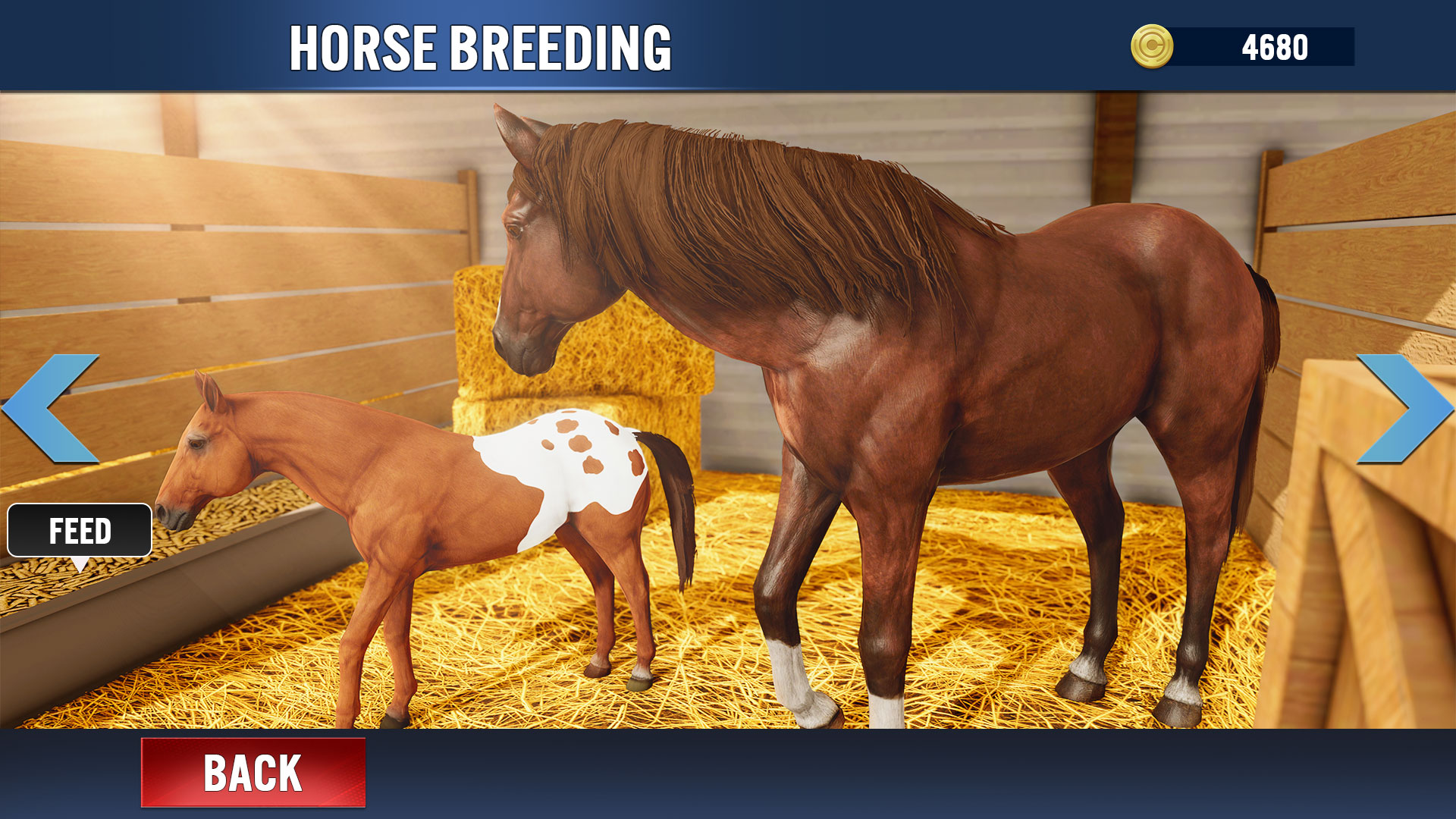 My Stable Horse Racing Games App on the Amazon Appstore