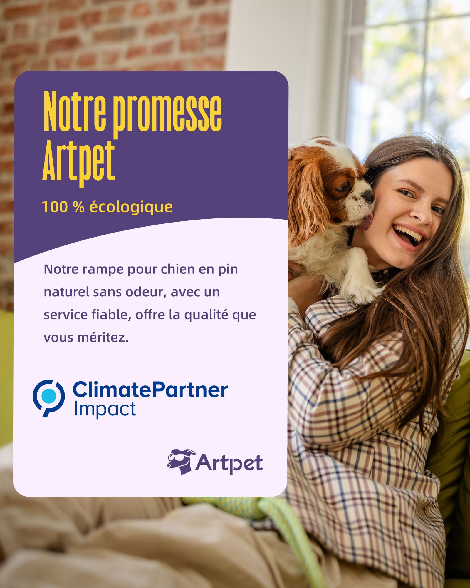 Rampe pour chien pour petits chiens pour canapé et lit, rampe pour le soin des articulations des Teckels, pliable, antidérapante, portable, hauteur réglable, supporte jusqu'à 15,9 kg