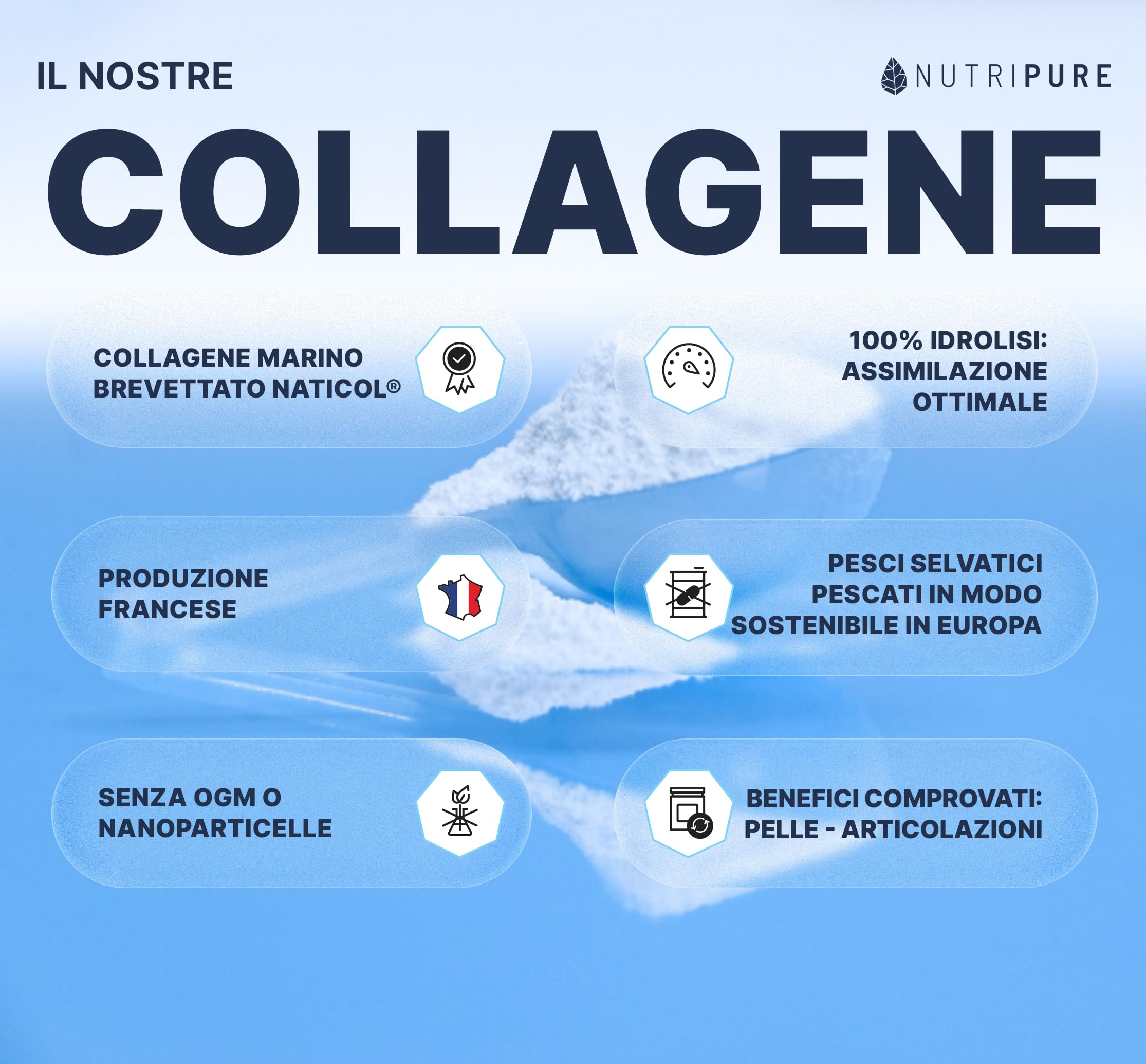 Collagene Marino Selvatico in Polvere | Integratore Alimentare Articolazioni, Capelli, Unghie e Pelle | Collagene Marino Idrolizzato | Barattolo 1,2 kg| 4 mesi | Gusto neutro | Prodotto in Francia