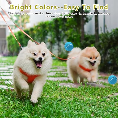 Miniatura 6 de Magicorange Paquete de 40 mini pelotas de tenis chirriantes, pelotas de tenis de 1.5 pulgadas para perros, coloridas y fáciles de atrapar para