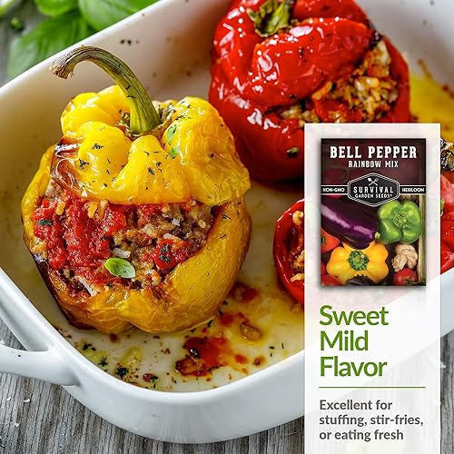 Miniatura 4 de Survival Garden Seeds - Mezcla de semillas de pimiento arcoíris para plantar - 3 paquetes con instrucciones para plantar y cultivar deliciosos