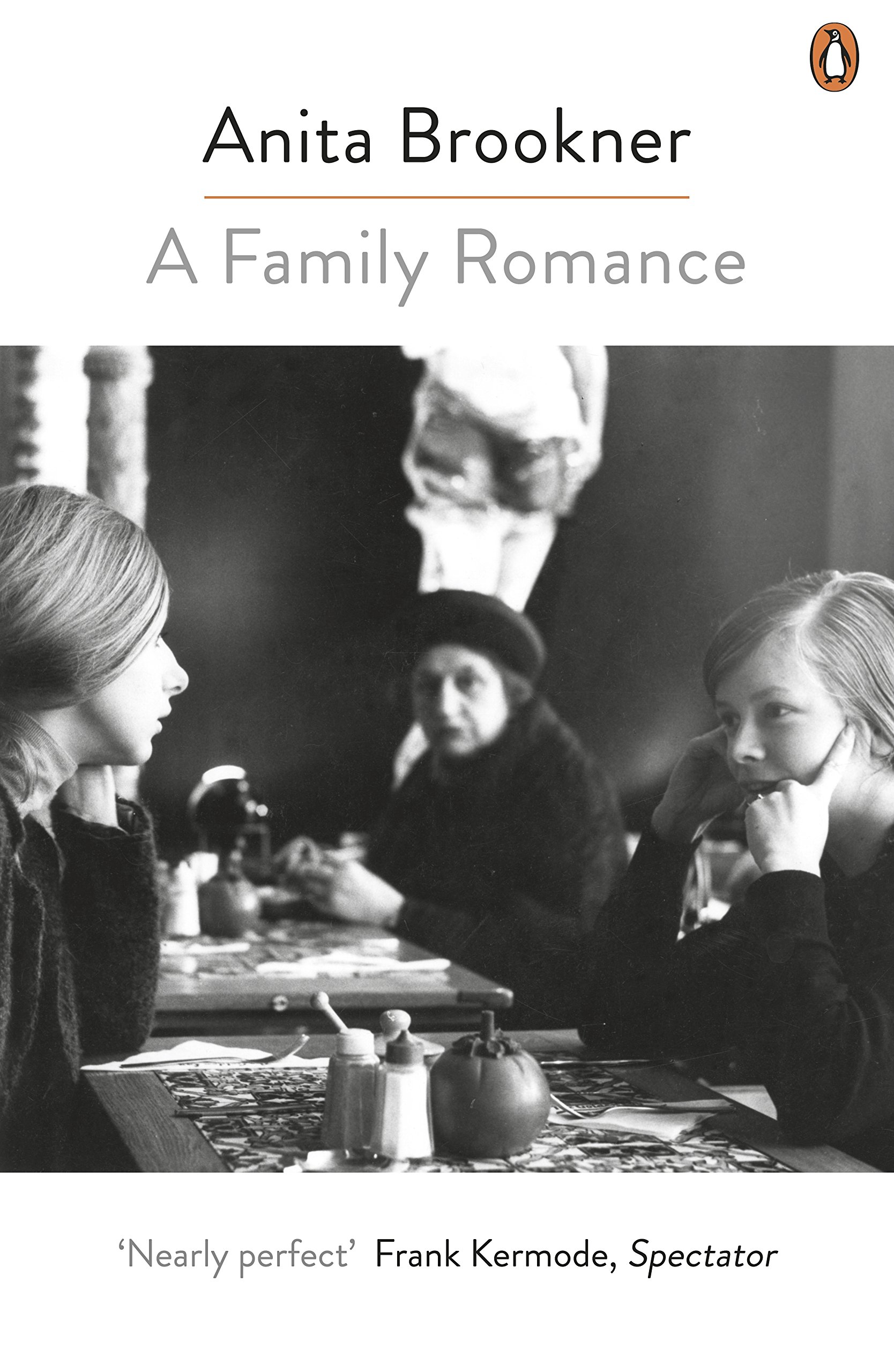 A Family Romance by Anita Brookner PAPERBACK 9780241979426