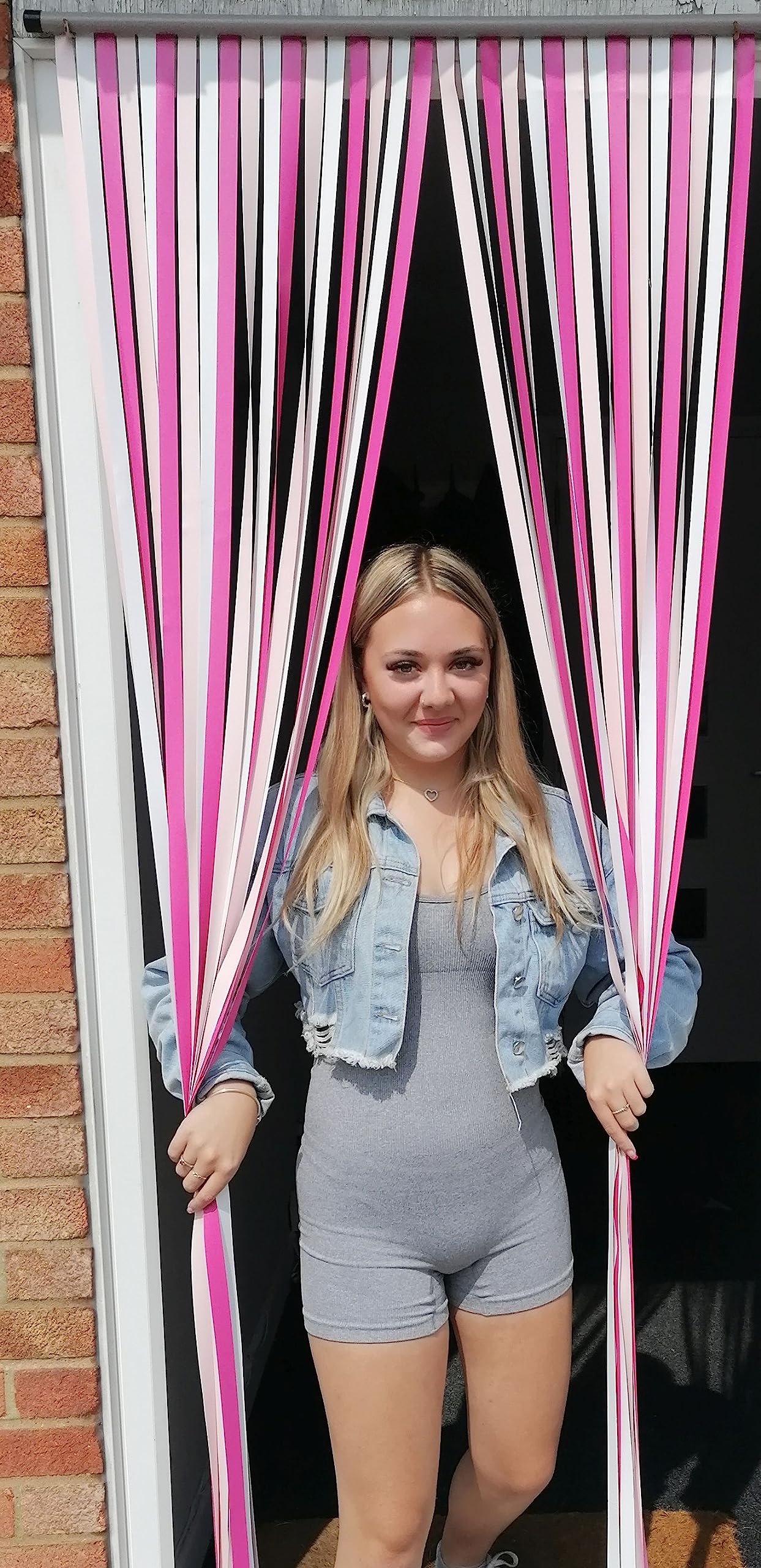 Holland Plastics Original Brand Heavy Duty Bug Fly Strip Door Blind - 80Cm Wide 'Ballet Dancer'