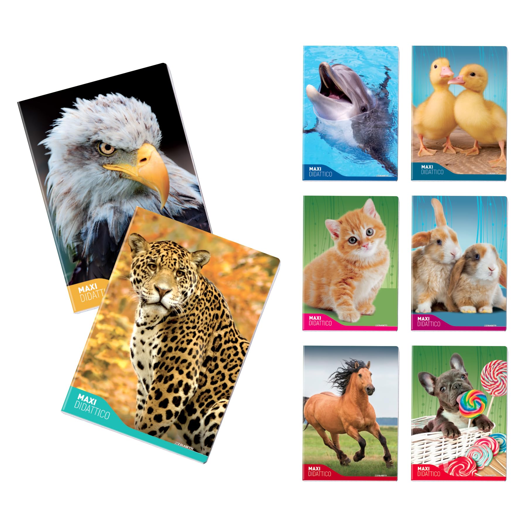 Blasetti - 6 Maxi Learning Notebooks with One Colour Pattern. 100 g paper, 72 sides + flap, Jolly Page, ideal for dysgraphy, pack containing assorted colours - Squares (0C)