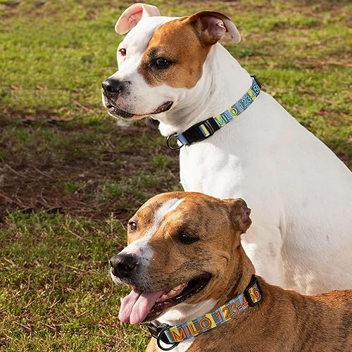 Vista 135 de Pawtitas Collar personalizado para perro, collar de perro pequeño, bordado con nombre, número de teléfono, collar de cachorro, collar ajustable
