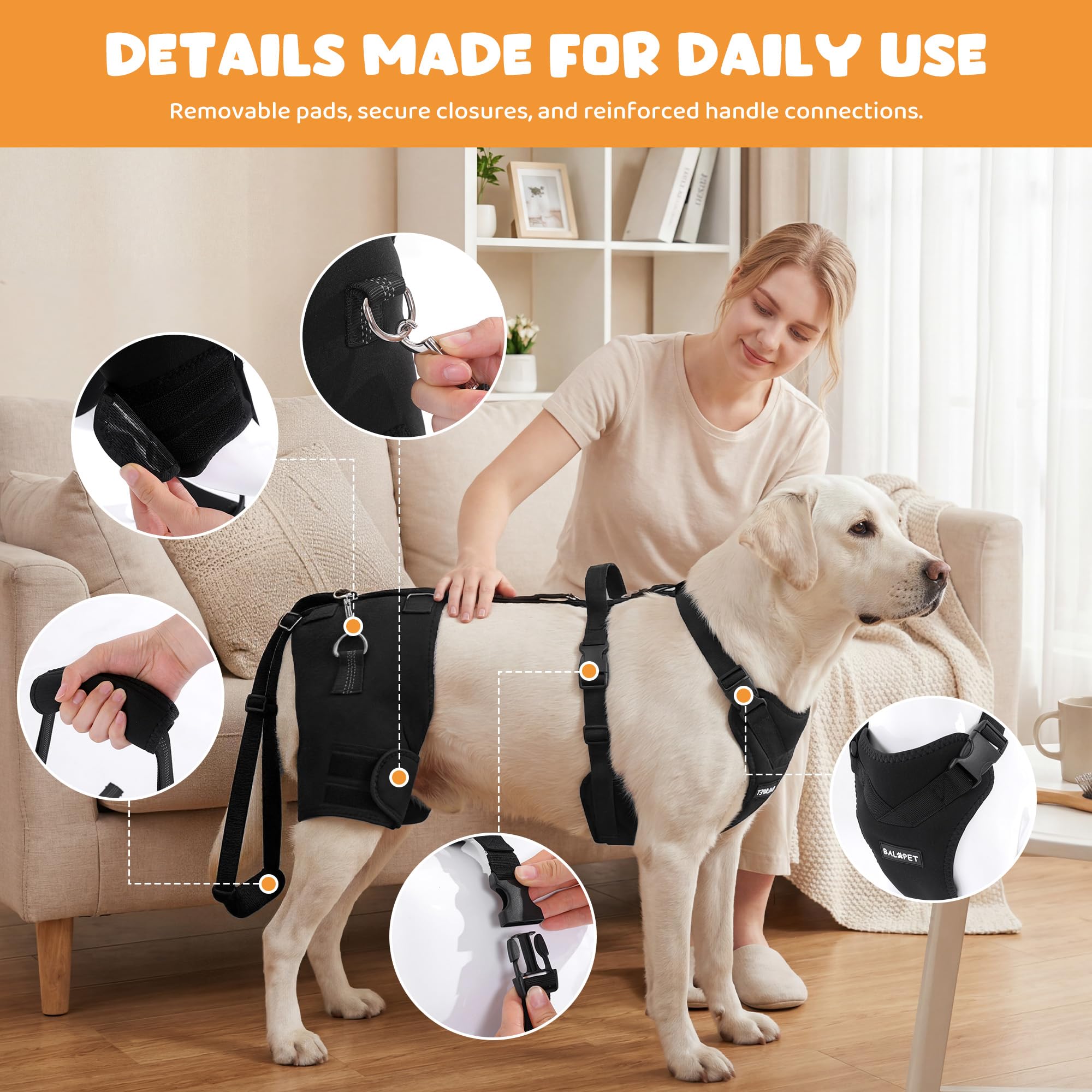 BALAPET BALAPET - Arnés de soporte de cadera para perro con mango de elevación, soporte de cadera ajustable para perros grandes, almohadillas suaves extraíbles para la cadera, arnés de asistencia de