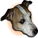 Quick reference to over 400 dog breeds