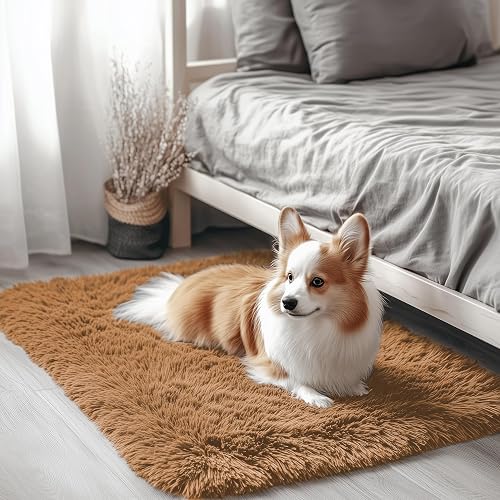 OLANLY 2x3 Machine Washable Small Bedside Rug, Soft Fluffy Shaggy