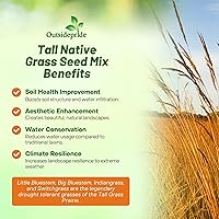 Vista 3 de Outsidepride Mezcla de semillas de césped nativo alto perennial – 1 libra Mezcla de semillas de hierba india, tolerantes a la sequía, de bajo