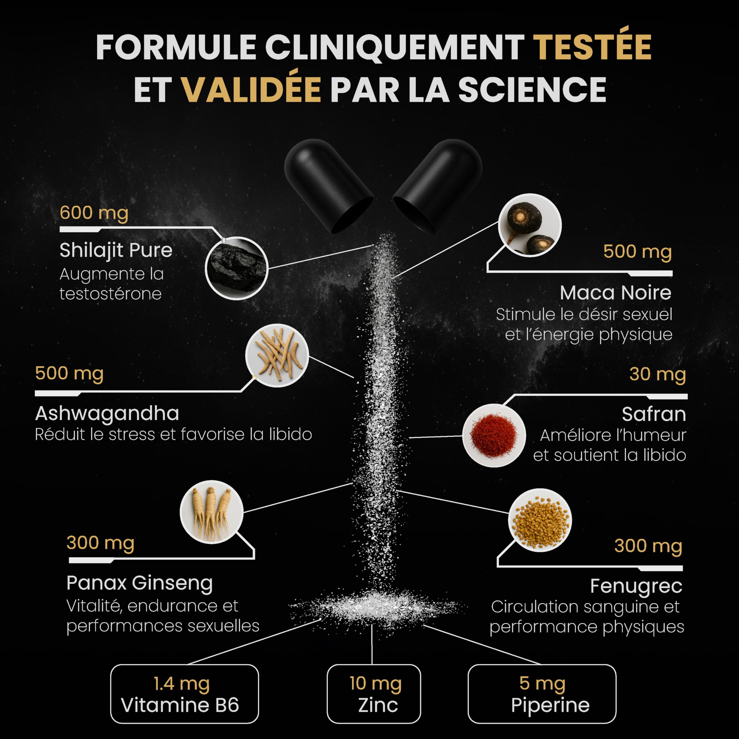 Shilajit Complexe certifié 150 Gélules Vegan – Booster de testostérone naturel avec Ashwagandha, Maca, Ginseng, Zinc & Safran – Energie, Endurance & Performances Masculine