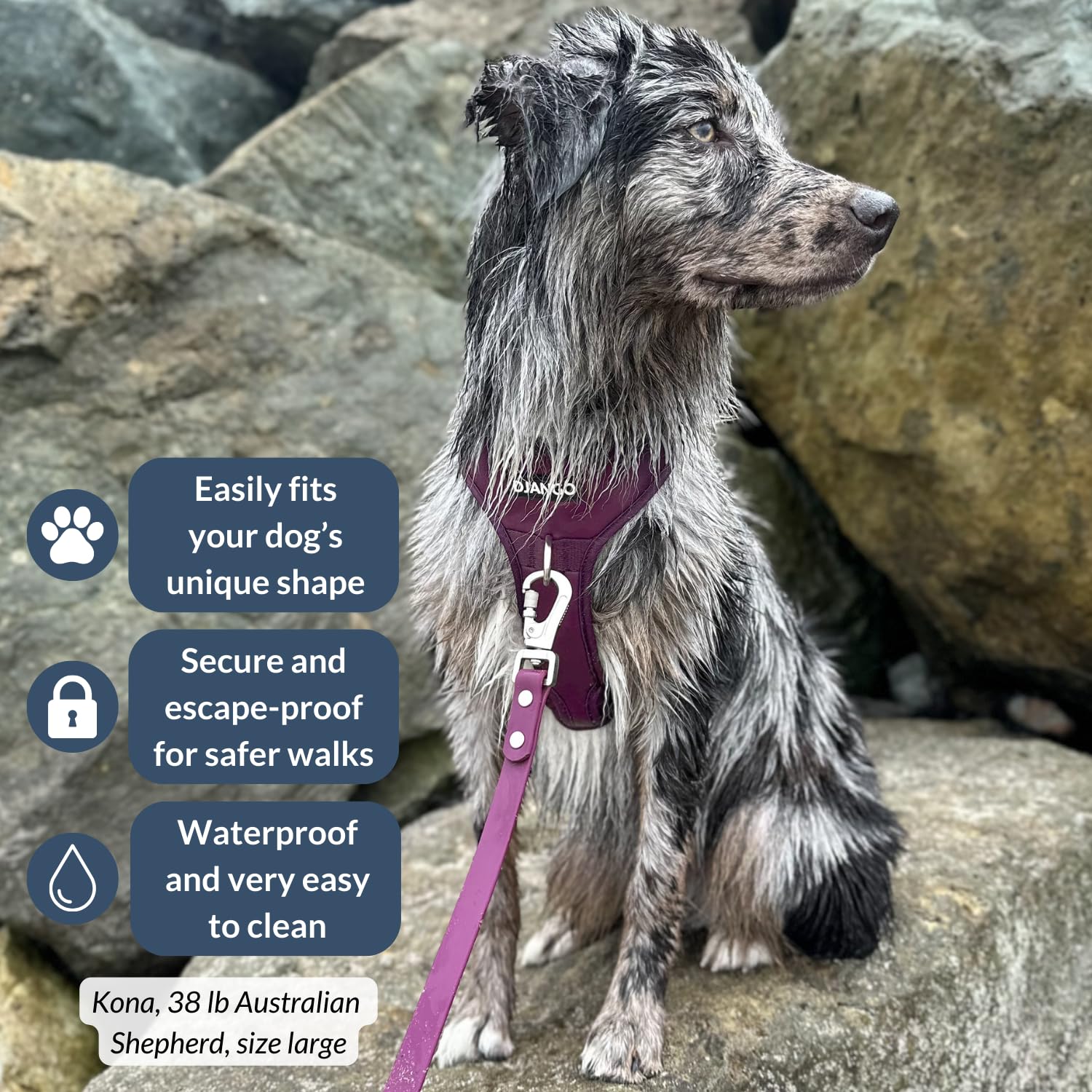 DJANGO Tahoe No Pull Hundegeschirr,Bequemes,Verstellbares und sicheres Design für den täglichen Gebrauch (Medium, Himbeerviolett)