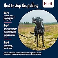 Vista 4 de Halti Arnés sin tirones: evita que tu perro tire de la correa. Ajustable, ligero y fácil de usar. Arnés reflectante de entrenamiento para perros