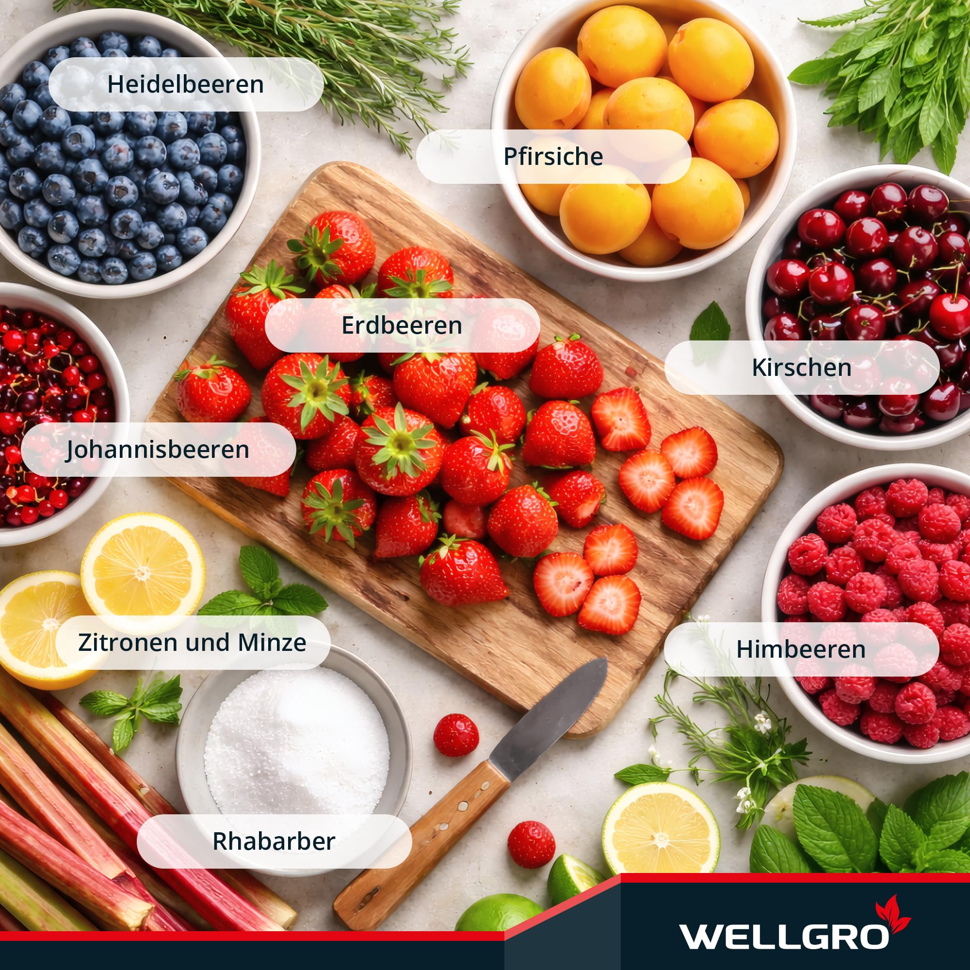 WELLGRO 50x Einmachgläser 230ml – Schraubdeckel TO82 rot kariert – Made in Germany – Vorratsgläser, Marmeladengläser, Aufbewahrungsgläser & Gärgläser
