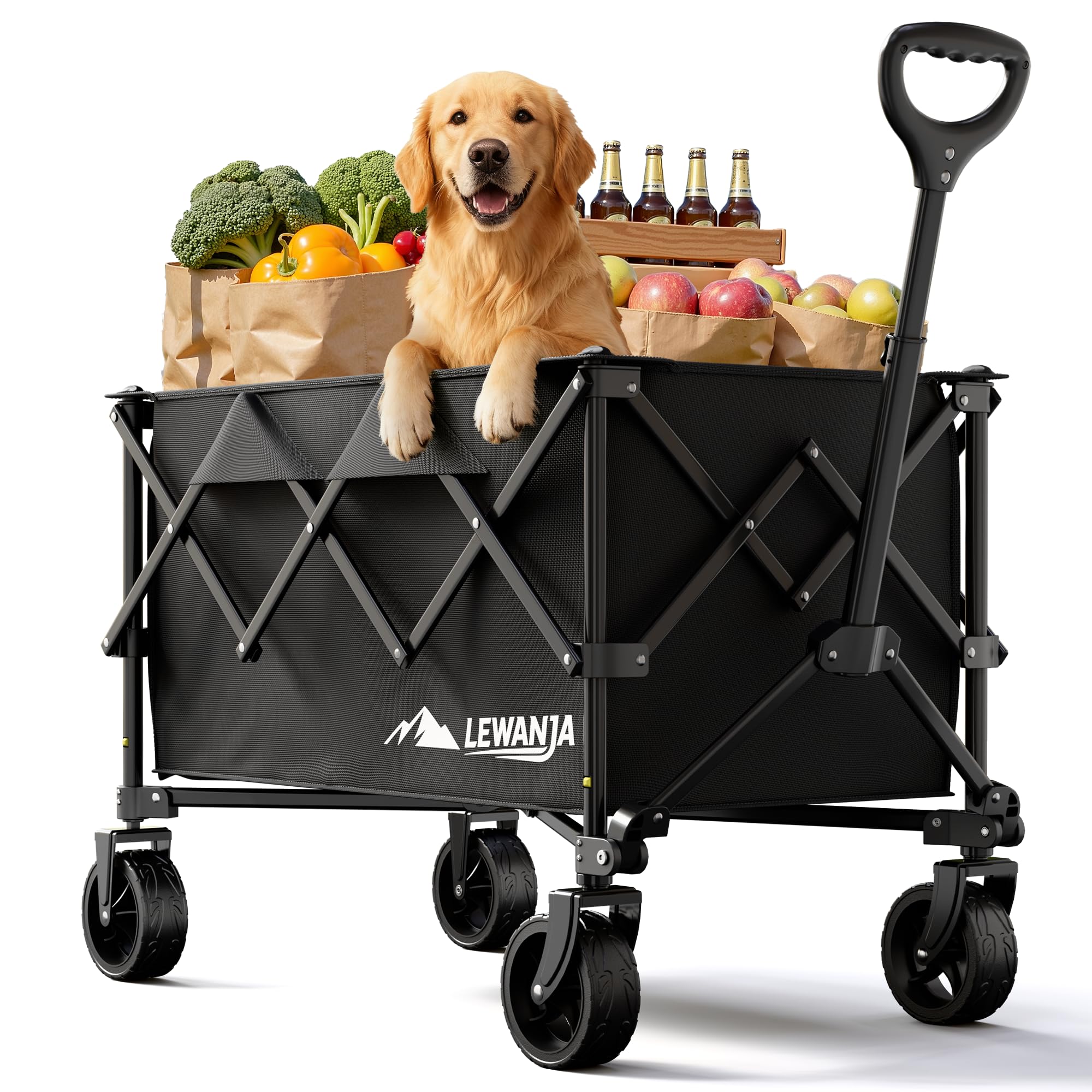 lewanja chariot de transport pliable