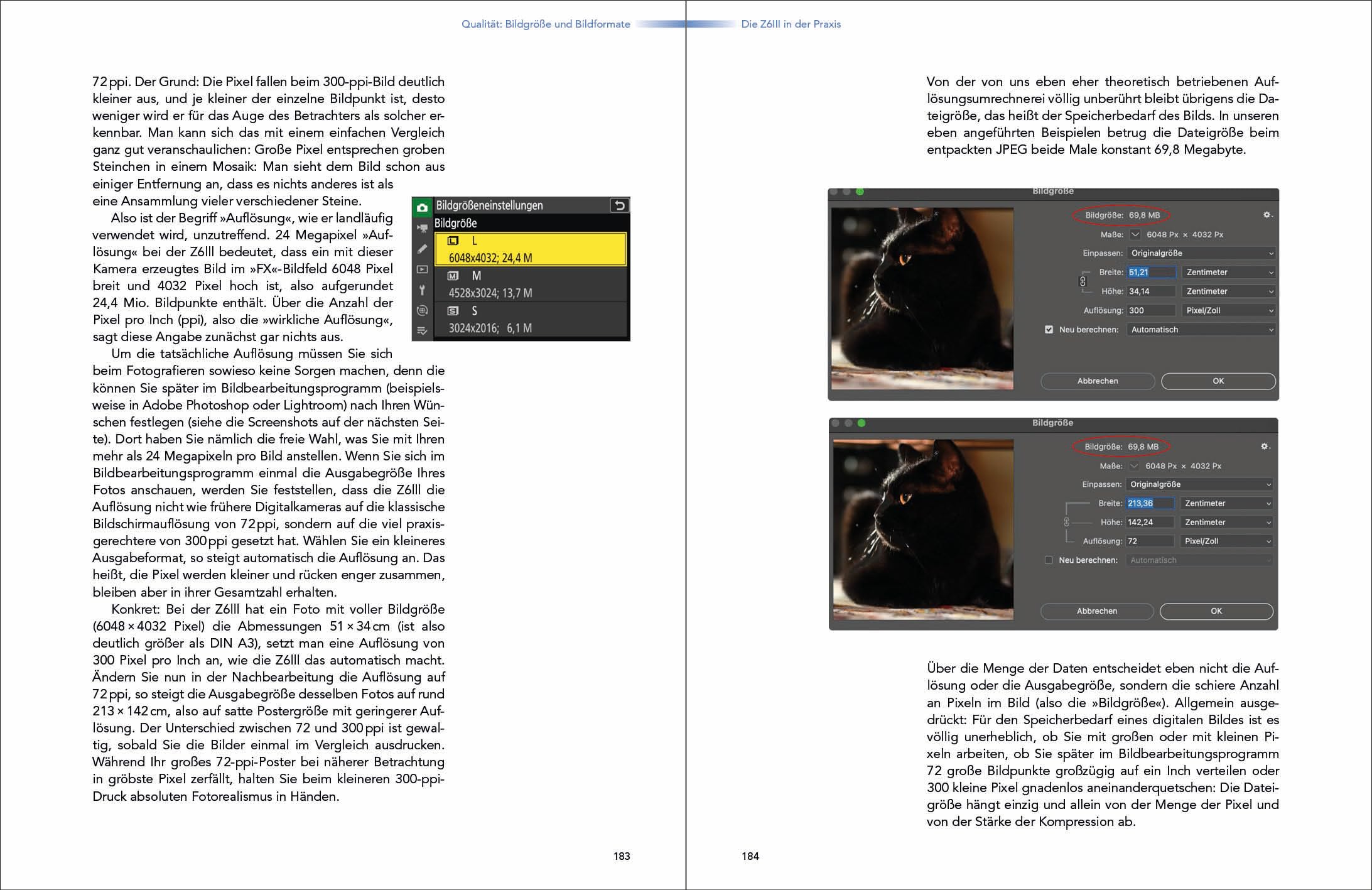 Nikon Z6III: Das Handbuch zur Kamera (dpunkt.kamerabuch)