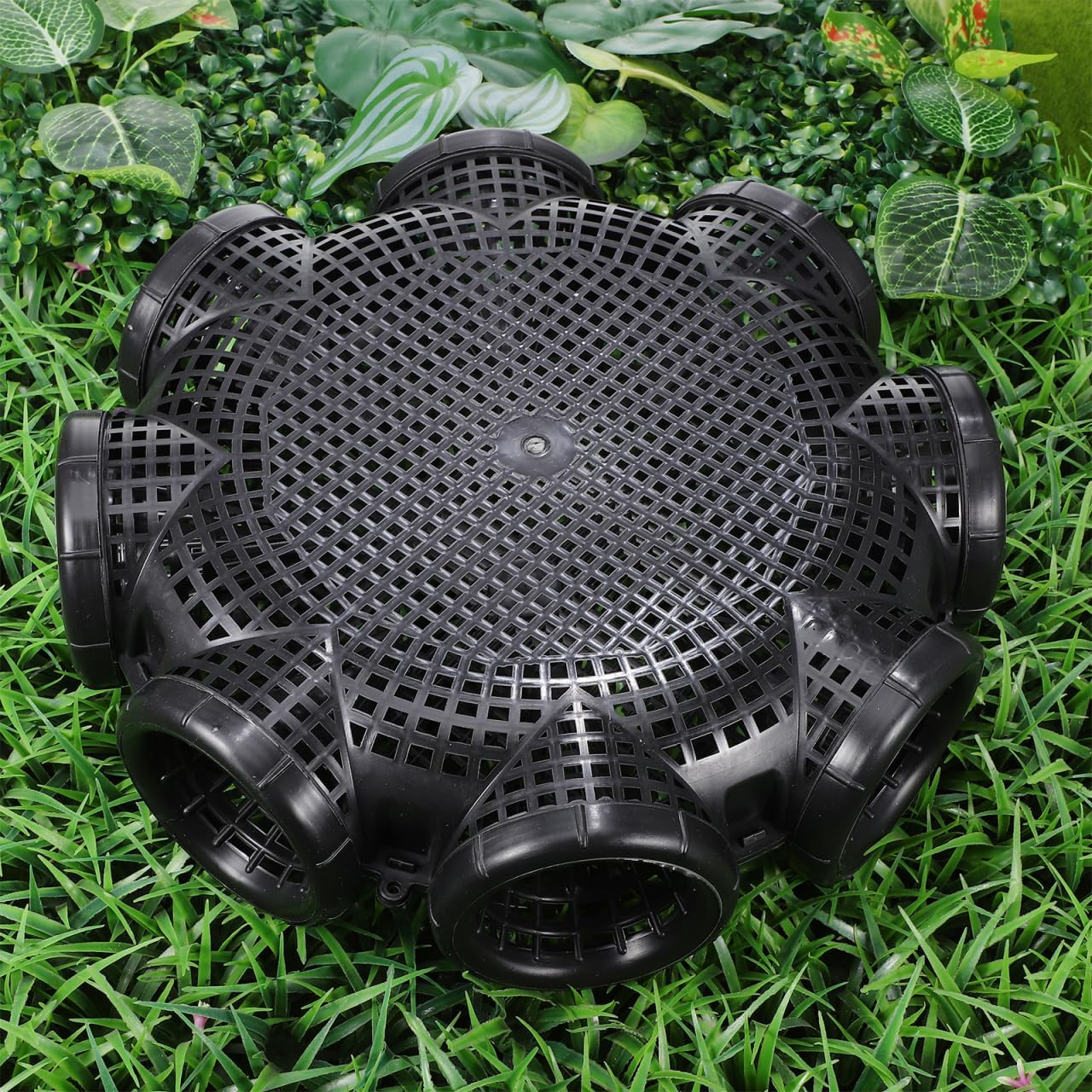 Crawfish Trap EEL Catching Net Fish and Shrimp EEL Cage Folding Craw Mesh Portable Catch Trap ing Mesh Catch Loach Cage Portable ing Trap-10Inch