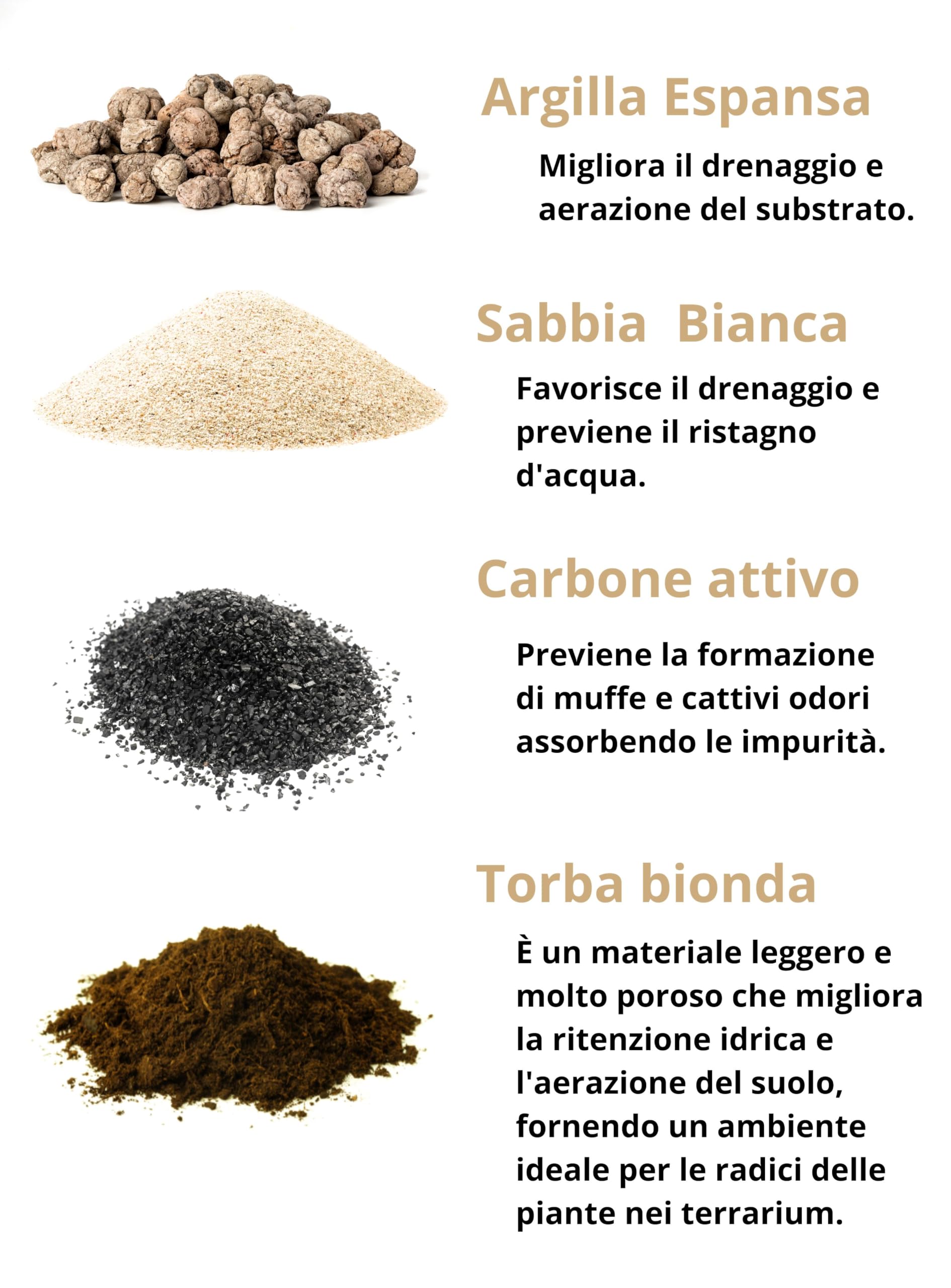 I GIARDINI DI GIULIA - Kit Terrarium Fai-da-Te 'I Giardini di Giulia' completo, Ecosistema Autosufficiente, Piante Incluse, Design Biologico, Kit terrario con vaso in vetro e tappo in sughero