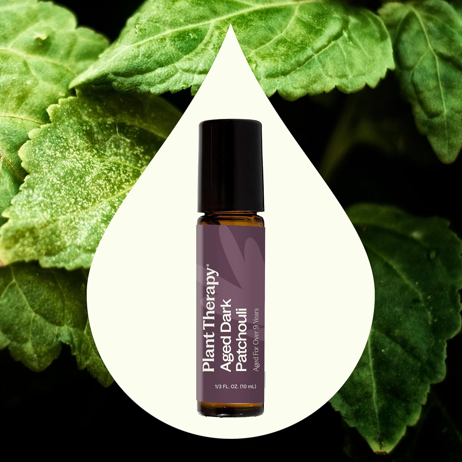 Plant Therapy Aged Dark Patchouli Essential Oil Roll-On 10 mL (1/3 oz) Pre-Diluted in Fractionated Coconut Oil, Long-Lasting, Personal Fragrance,100% Pure, Natural, Expertly Aged for Depth, Rich Aroma - Image 3