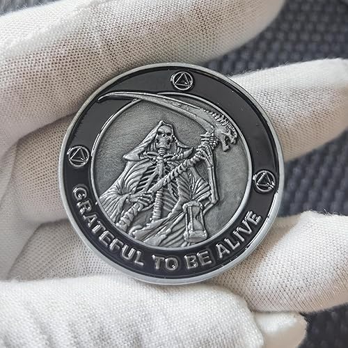 Miniatura 3 de Agradecido a estar vivo Sobriedad Chip AA Monedas y Medallones Recuperación Aniversario Token (moneda individual)