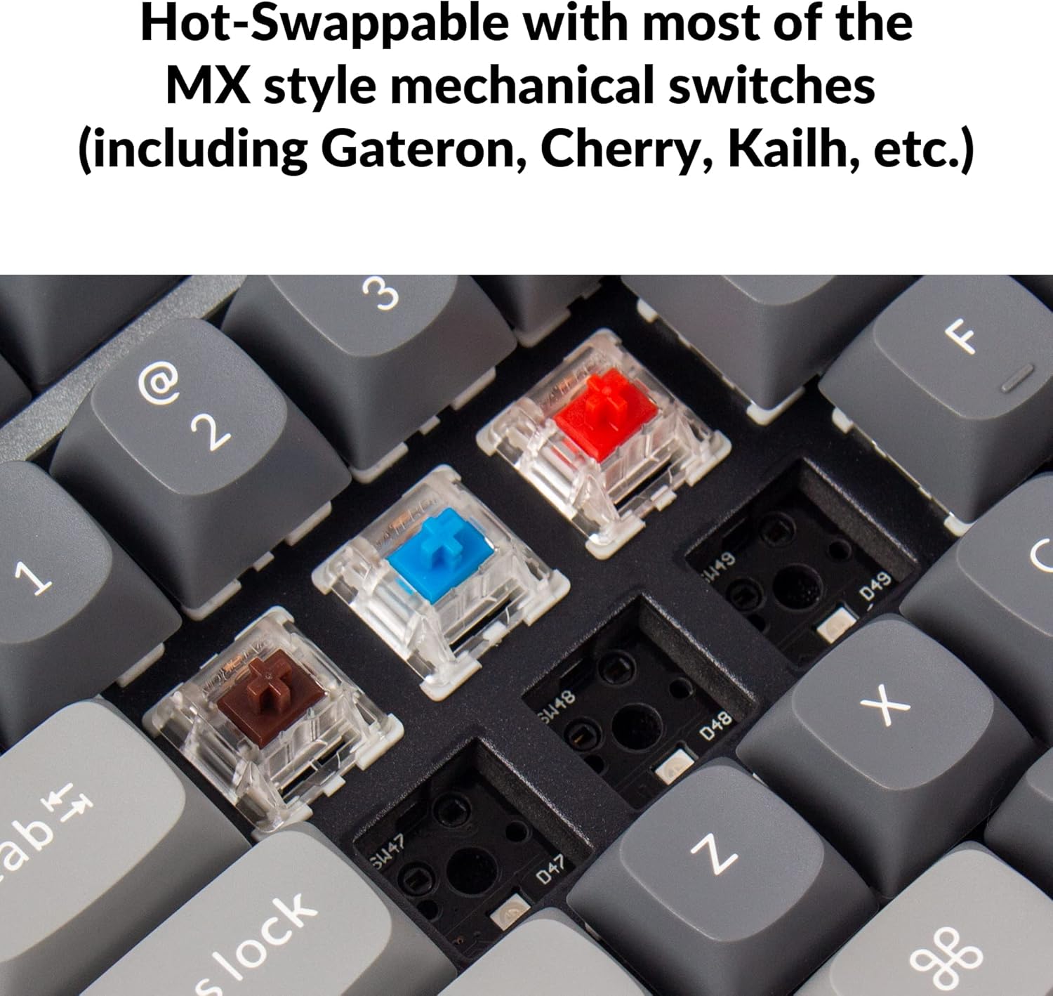 قیمت و خرید از آمازون عکس 2