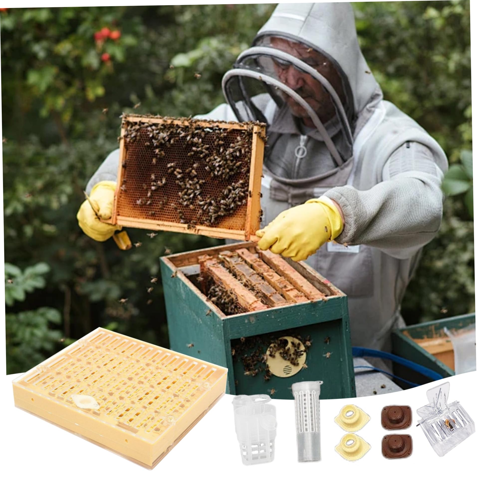 Kit d'élevage de reine, kit de démarrage apiculture complet, y compris la boîte d'élevage de reine, les tasses cellulaires, les outils de greffage émouvants de l'apiculture queen exclusion, kit d'api