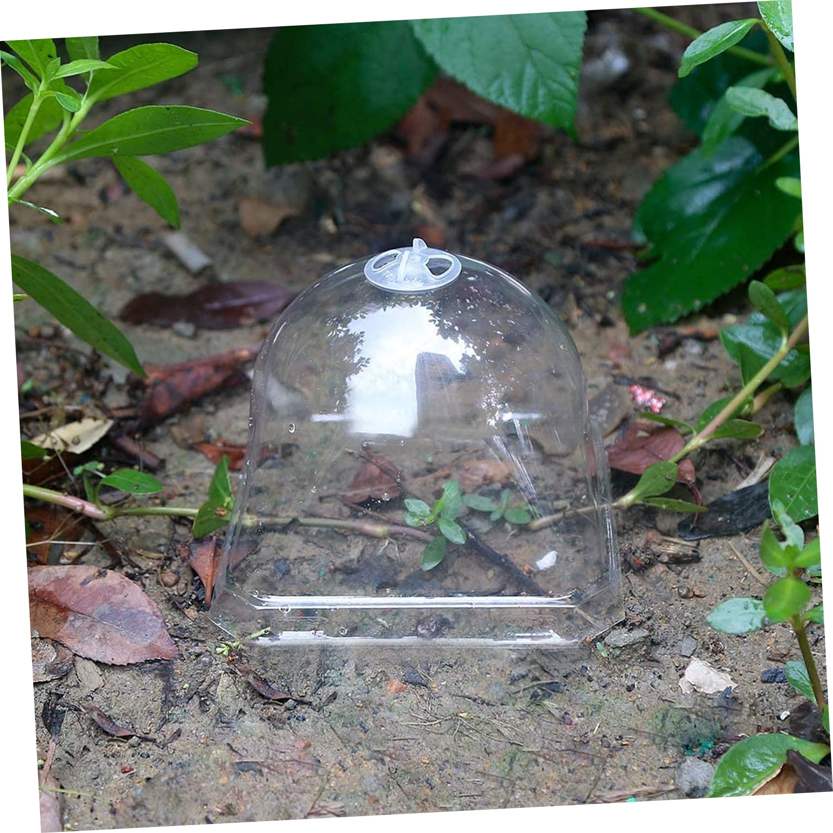 TOYANDONA 5 Stück Pflanzenschutz Kuppeln Aus Kunststoff Transparent Frostschutz Gartenglocken Mit Einstellbarer Belüftung Für Setzlinge Und Keimlinge