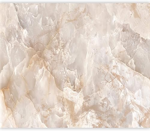 artgeist Mural de pared de piedra prémium de 157 x 110 pulgadas, papel tapiz no tejido XXL, decoración de pared de vellón, impresión fotográfica,
