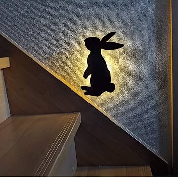 Amazon.co.jp : FIN-972RA 振感センサーライト「ほんのり