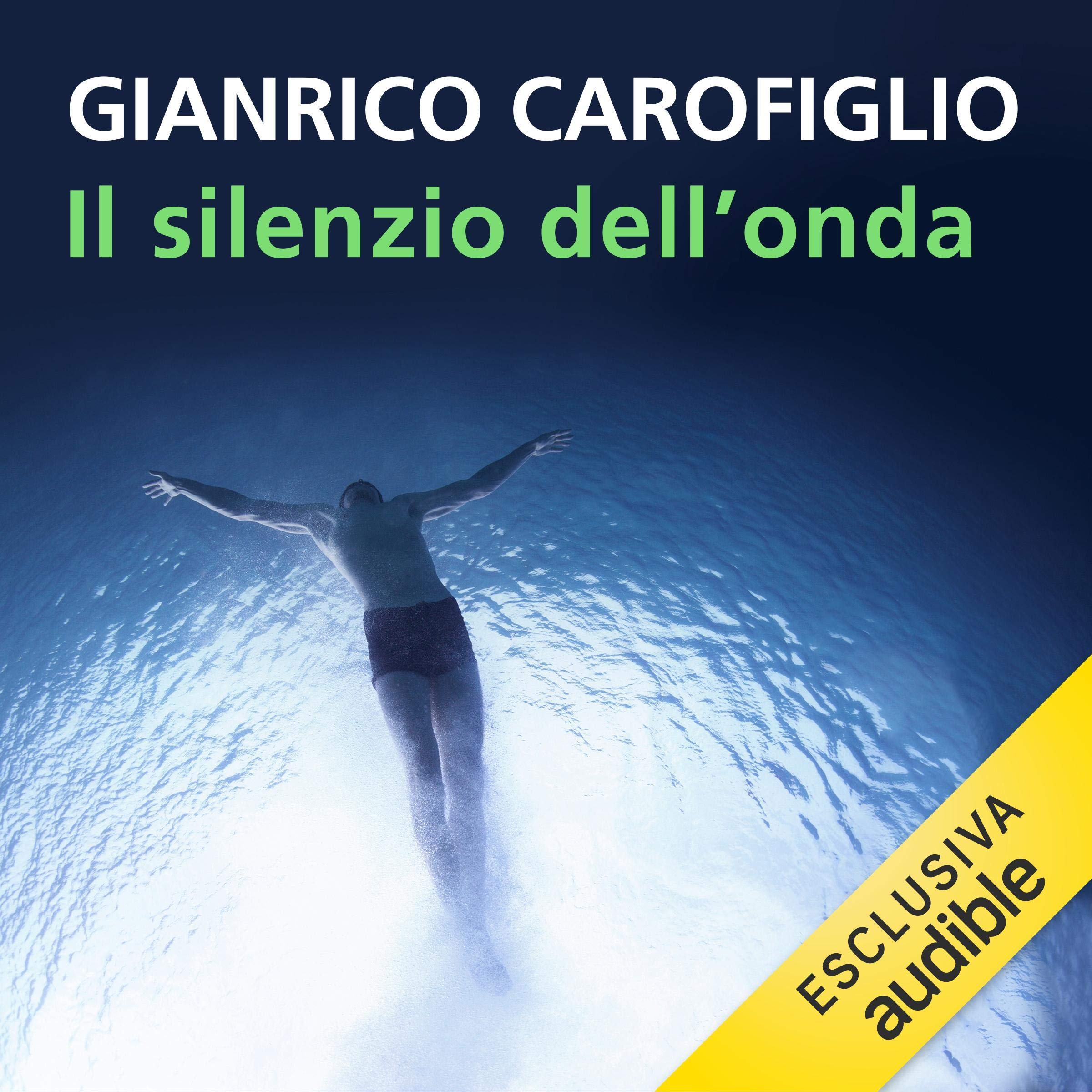 Cover art for Il silenzio dell'onda