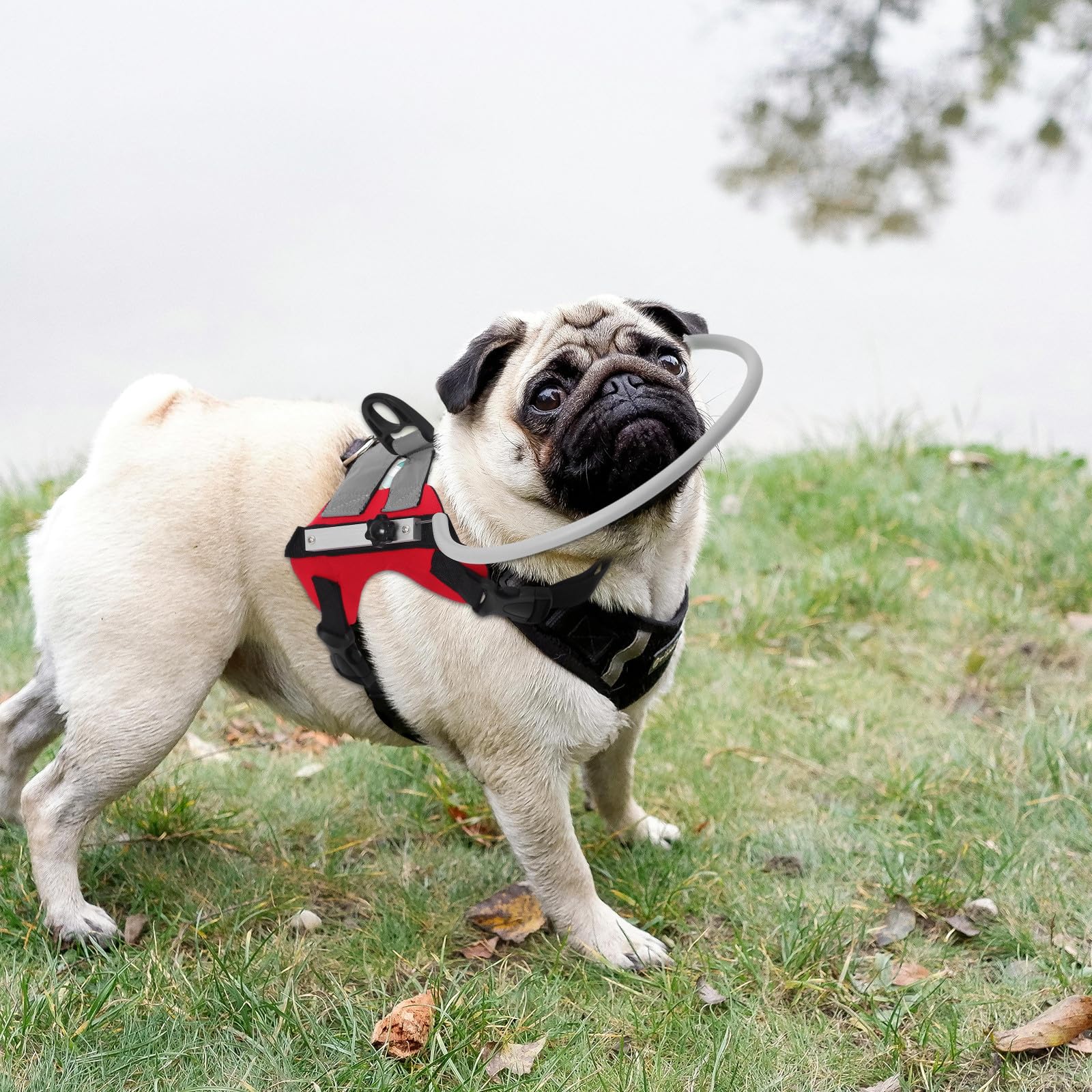 ULTECHNOVO Collier pour Chien Aveugle Rouge en Polyester Léger Protection Anti-Collision et Facile à Utiliser pour Navigation Extérieure Sécurisée