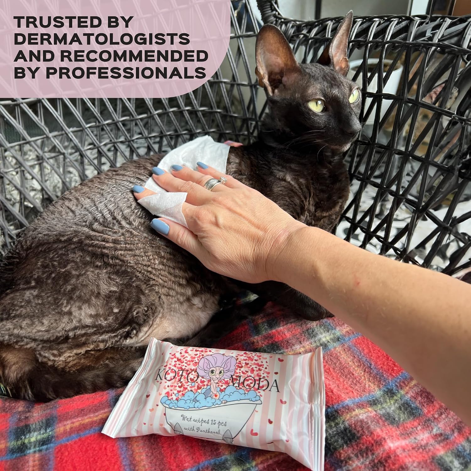 Wet Wipes with Panthenol for Sphynx & Shorthair Cats — 16Pack/240Count Pack, Hypoallergenic Dander & Odor Grooming Wipes