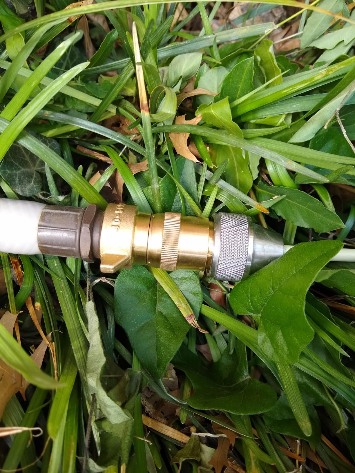 Customer Image