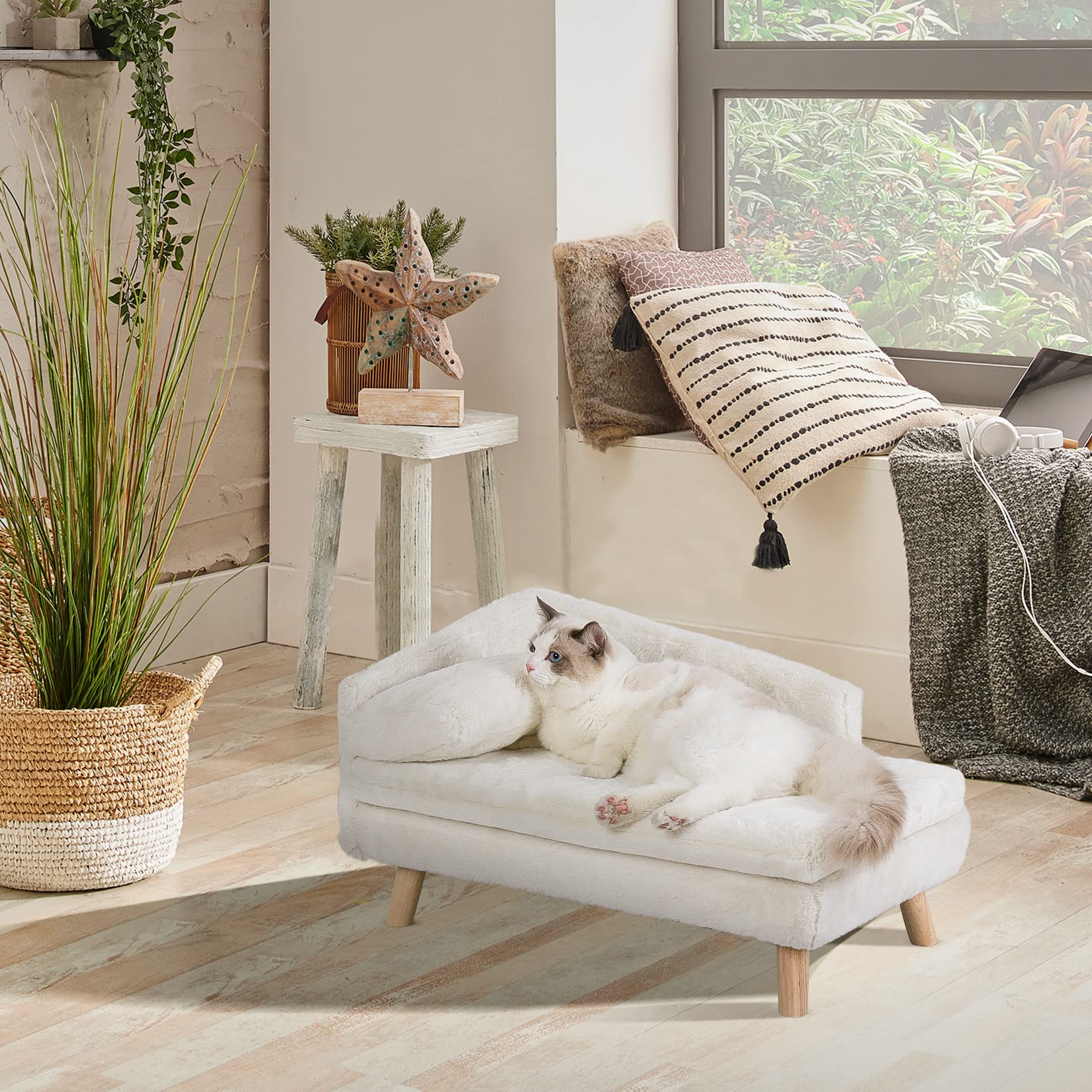 BingoPaw Divanetto per Cani e Gatti: Divano Letto Rialzato per Gatto Cani Inferiore a 25 kg Cuccia per Gatti da Interno con Cuscino Morbito Grande Cucce per Gatti da Interno, 80,5x48x23,5cm