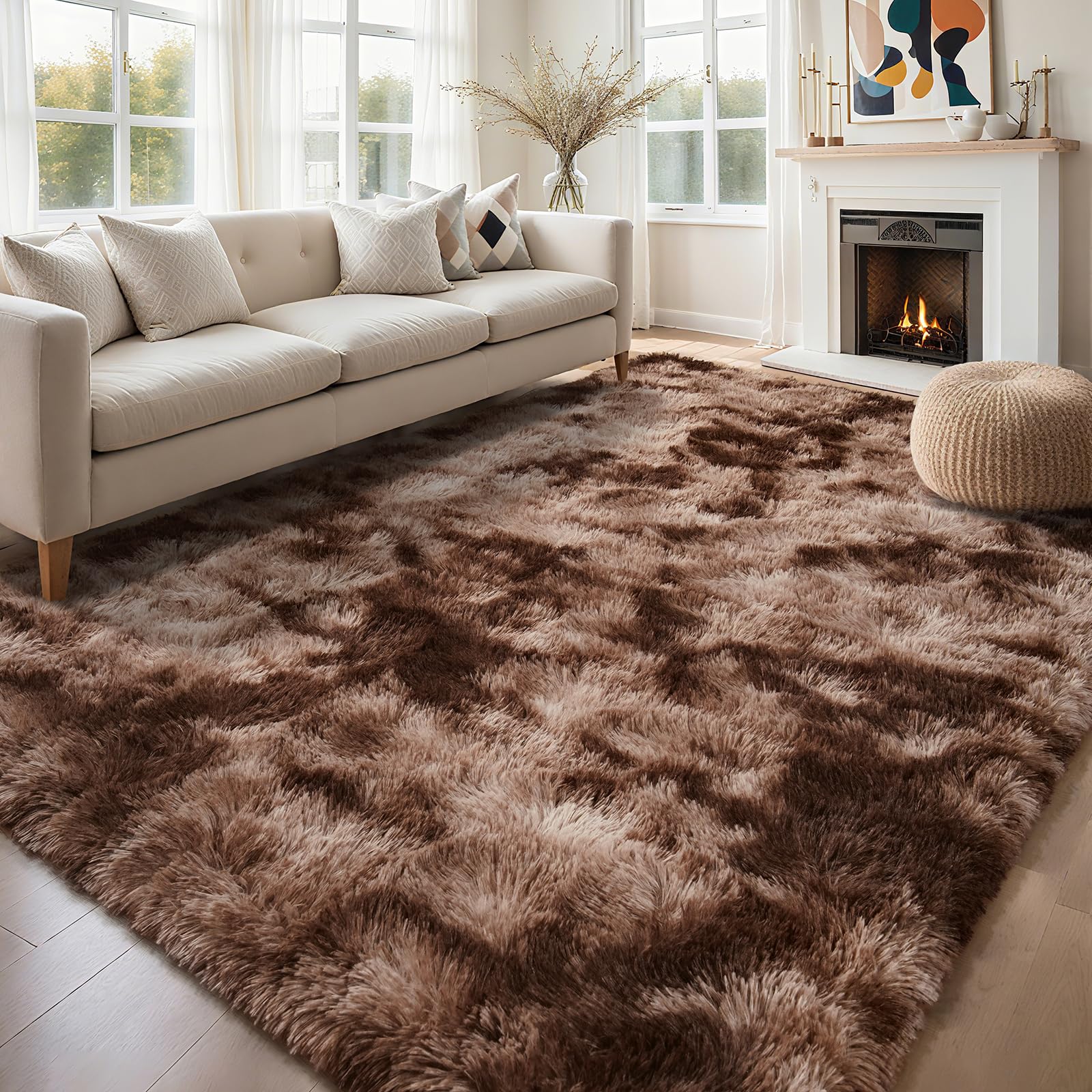 AROGAN Fluffy 4x6 Area Rugs Bedroom Carpet for Kids Living Room, Coffee