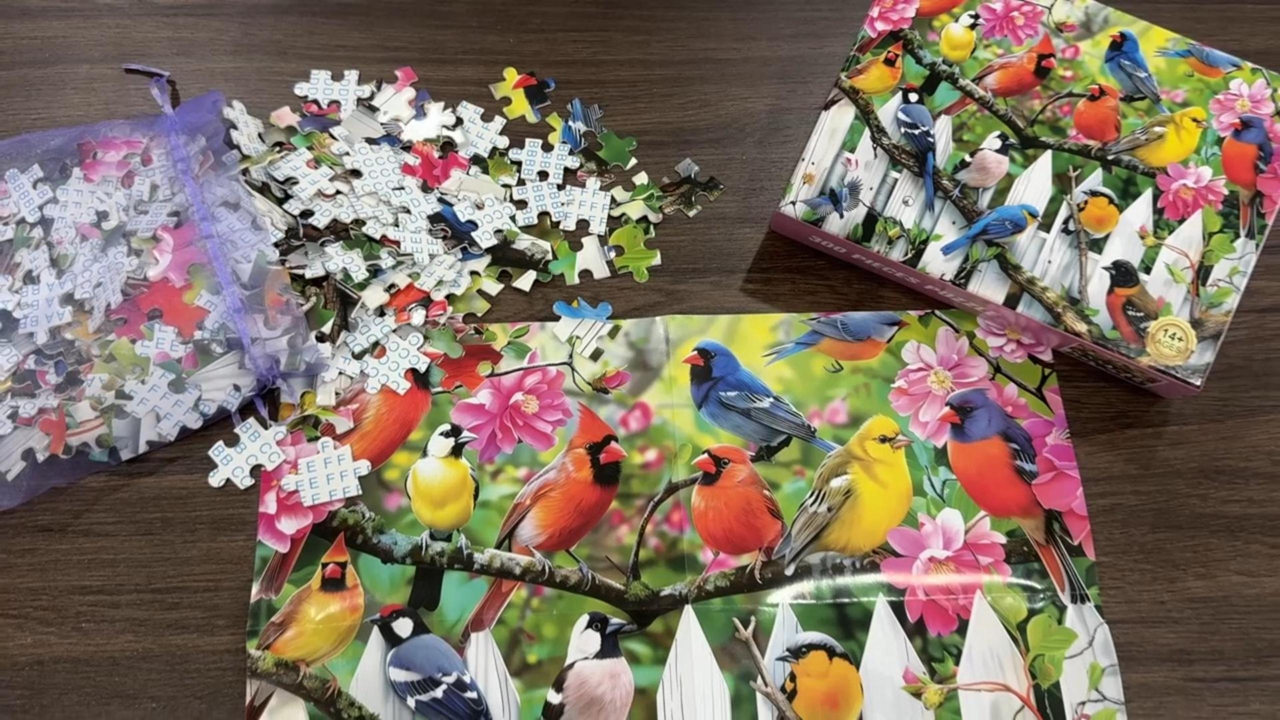 Amazon.com: 300 Pieces Jigsaw Puzzles for Adults–Morning Serenade
