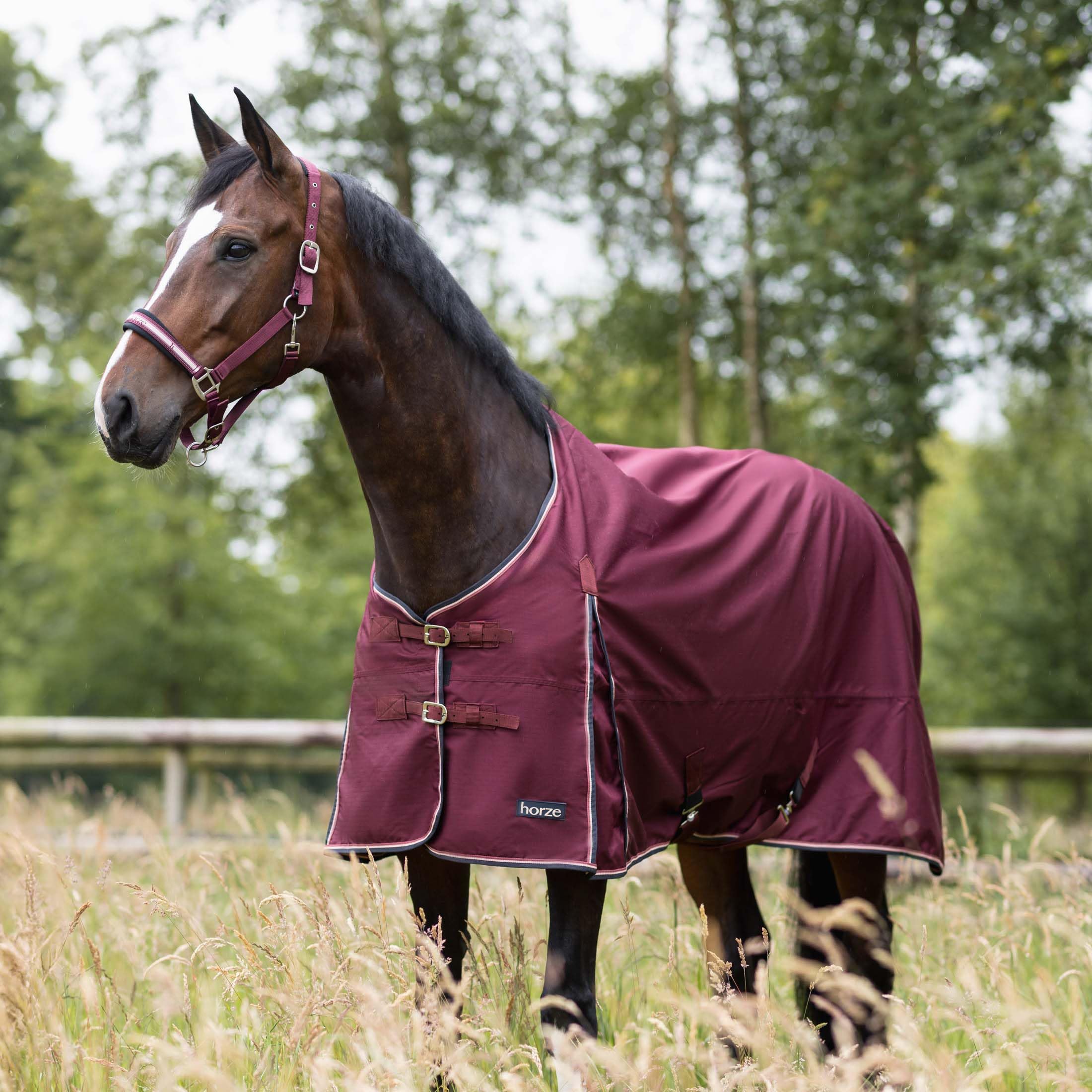 HORZE Glasgow - Coperta leggera impermeabile per cavallo (senza imbottitura), bordeaux, 190,5 cm