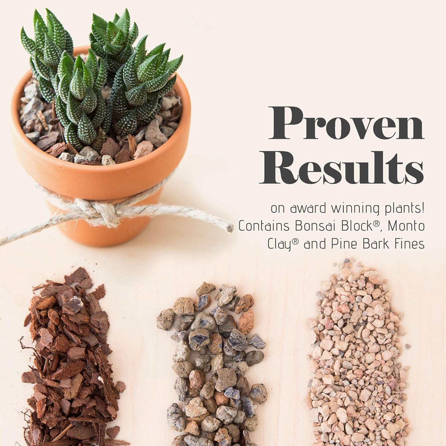 Bonsai Jack Succulent, Cactus and Bonsai Soil - Jacks Gritty Mix - 2 Quarts – Fast Draining – Fight Root Rot – Optimized pH - Image 4