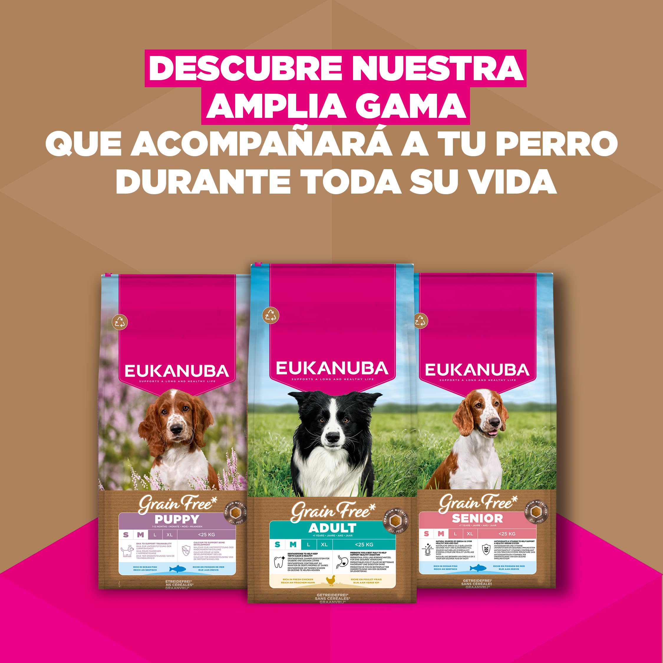 Eukanuba, alimento para Perros sin Cereales con Pollo para Razas pequeñas y Medianas - Alimento seco Premium sin Cereales para Perros Adultos, 12 kg | Comida seca de primera calidad, con pollo fresco, sin cereales, para perros adultos