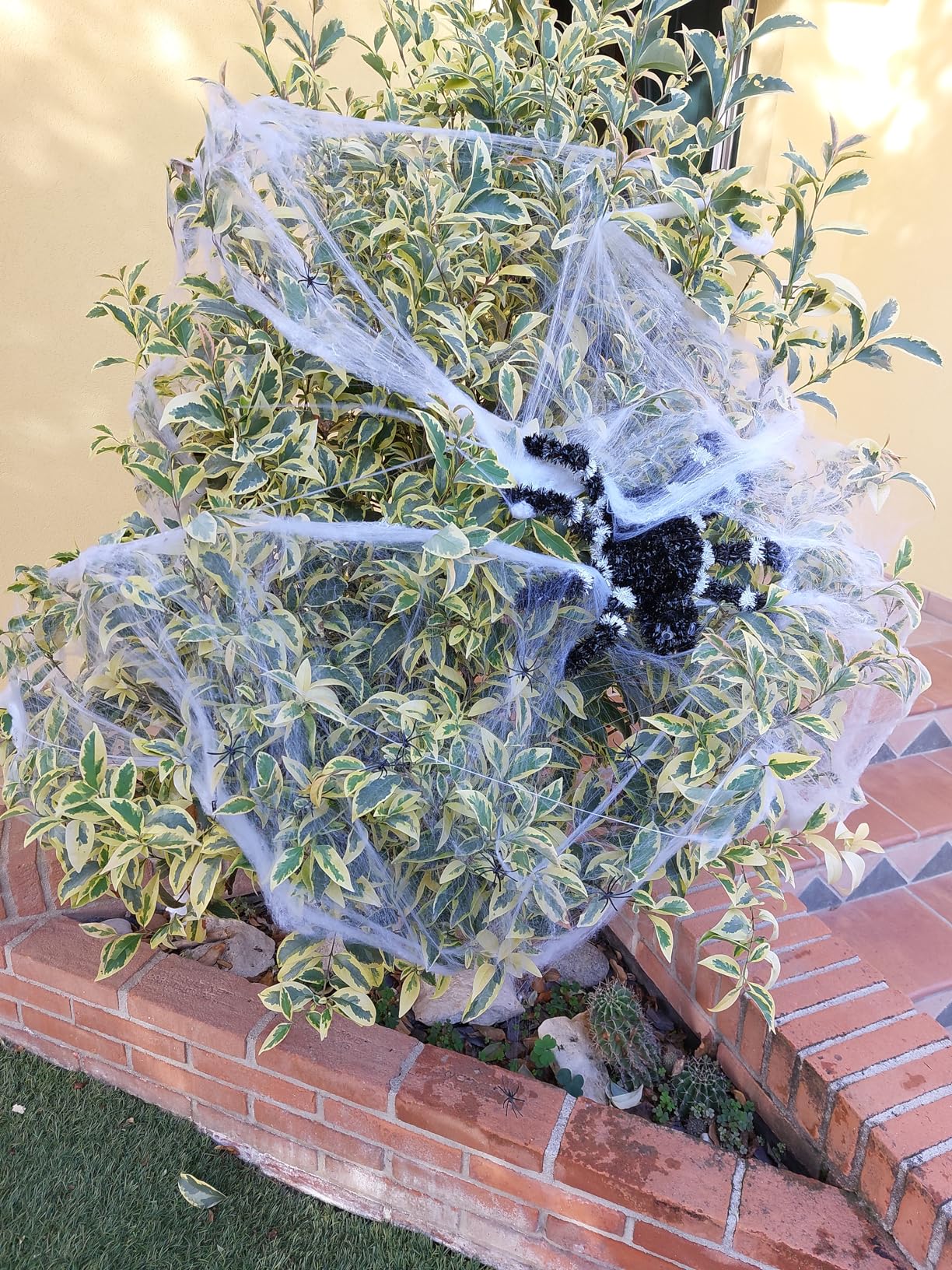 Decorazione Ragnatela Halloween - 100g Ragnatela Elastica + 50 Ragni, Festa Spaventosa - Foto 7