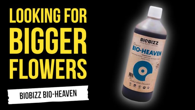 BIOBIZZ BIO・HEAVEN Amazon.com : Biobizz Bio-Heaven 1L : Plant Germination Kits