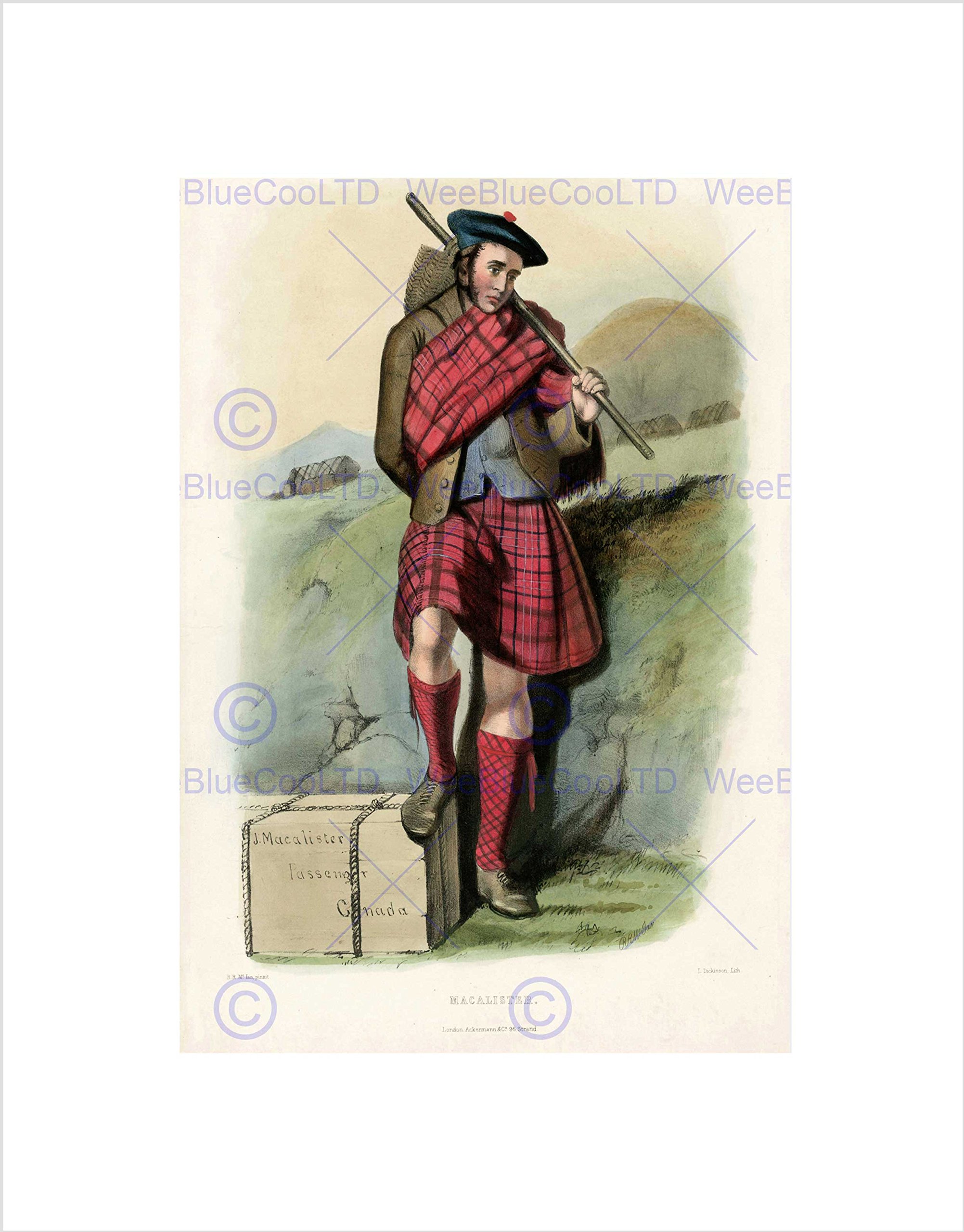 Wee Blue Coo Painting Highland Clan Scotland Tartan Macalister Wall Art Print