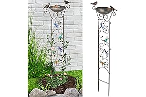 Trellis Bird Bath: Enchanting Outdoor Sanctuary for Feathered Friends