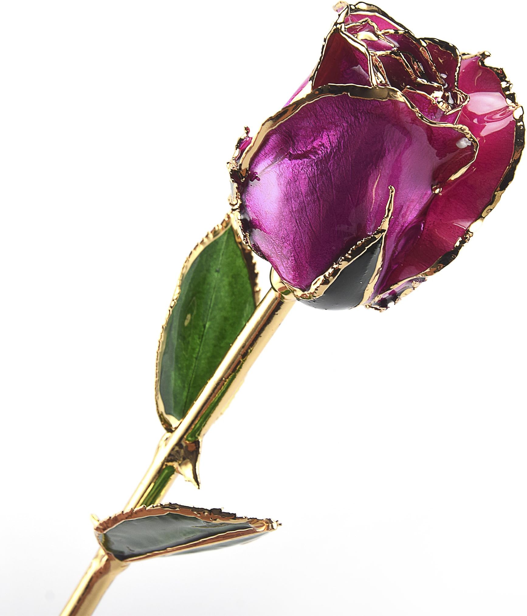 M Dream Romantic Gifts for Her, 24K Gold Dipped Real Rose Chris Purple,Best Gift for Valentine's Day, Mother's Day, Anniversary, Birthday, Valentines Gift