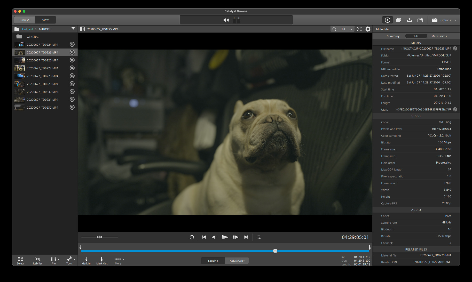 The camera is great! But had a horrible experience with Amazon.