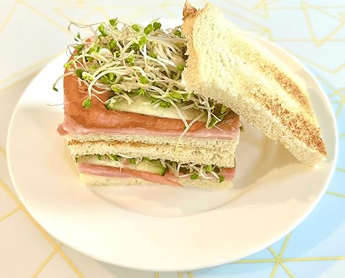 Miniatura 4 de Semillas de brotes de brócoli orgánico cultivadas en Estados Unidos, semillas de brócoli sin OMG para germinar en bolsa de pie, semillas de verduras