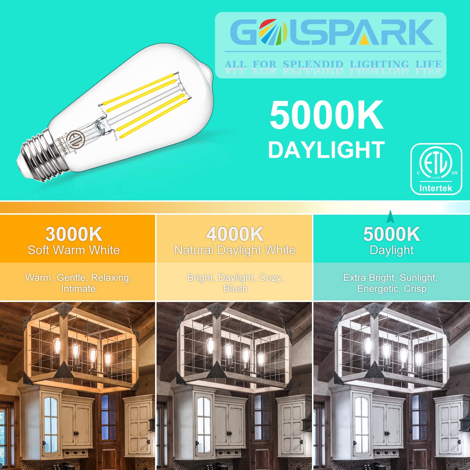 E26 LED Light Bulb E26 Standard Base, Golspark 6W 5000K Daylight