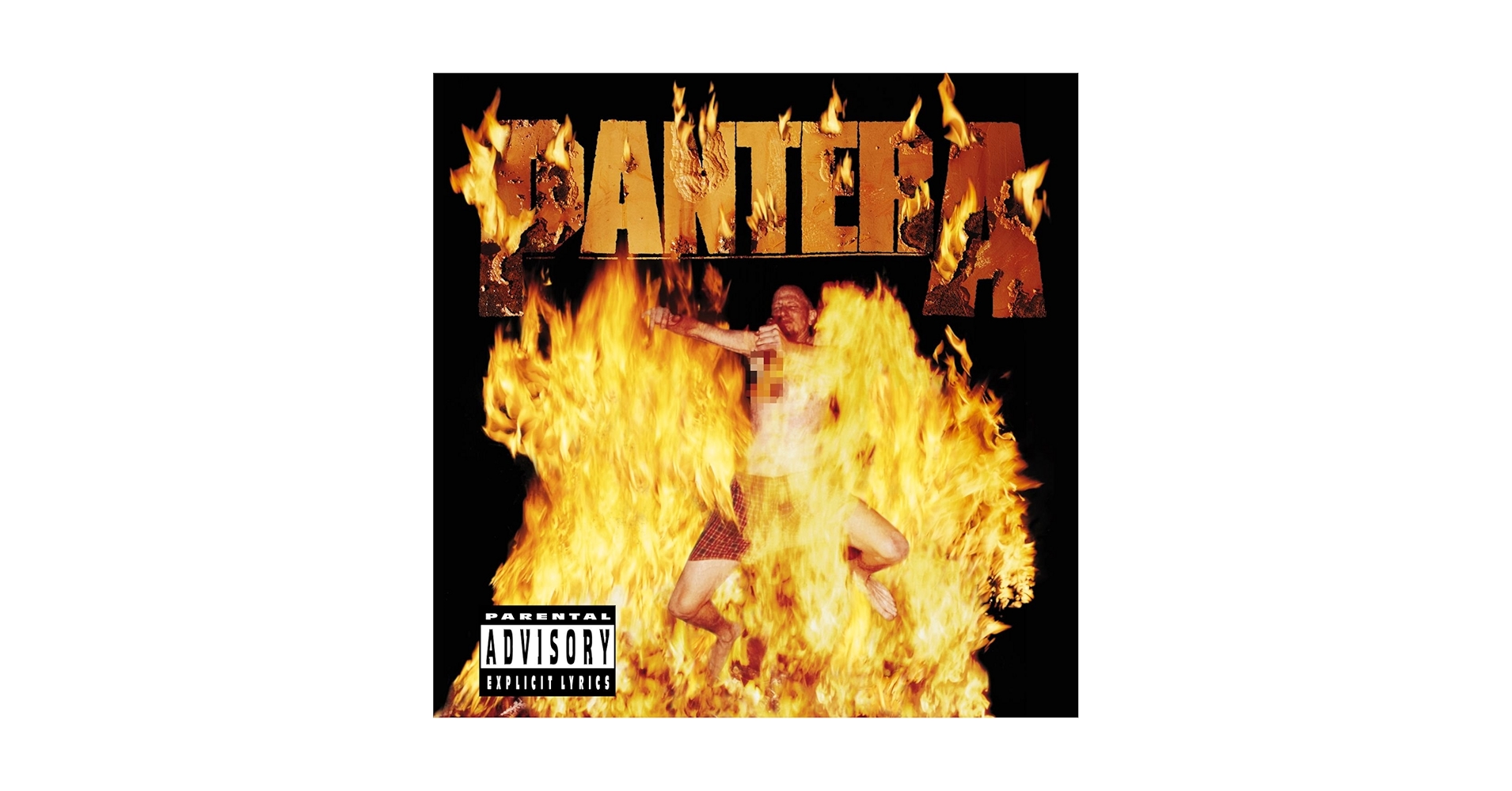 PANTERA Reinventing the Steel レコード 419Q7KAXSFL._UF1000,1000_QL80_.jpg