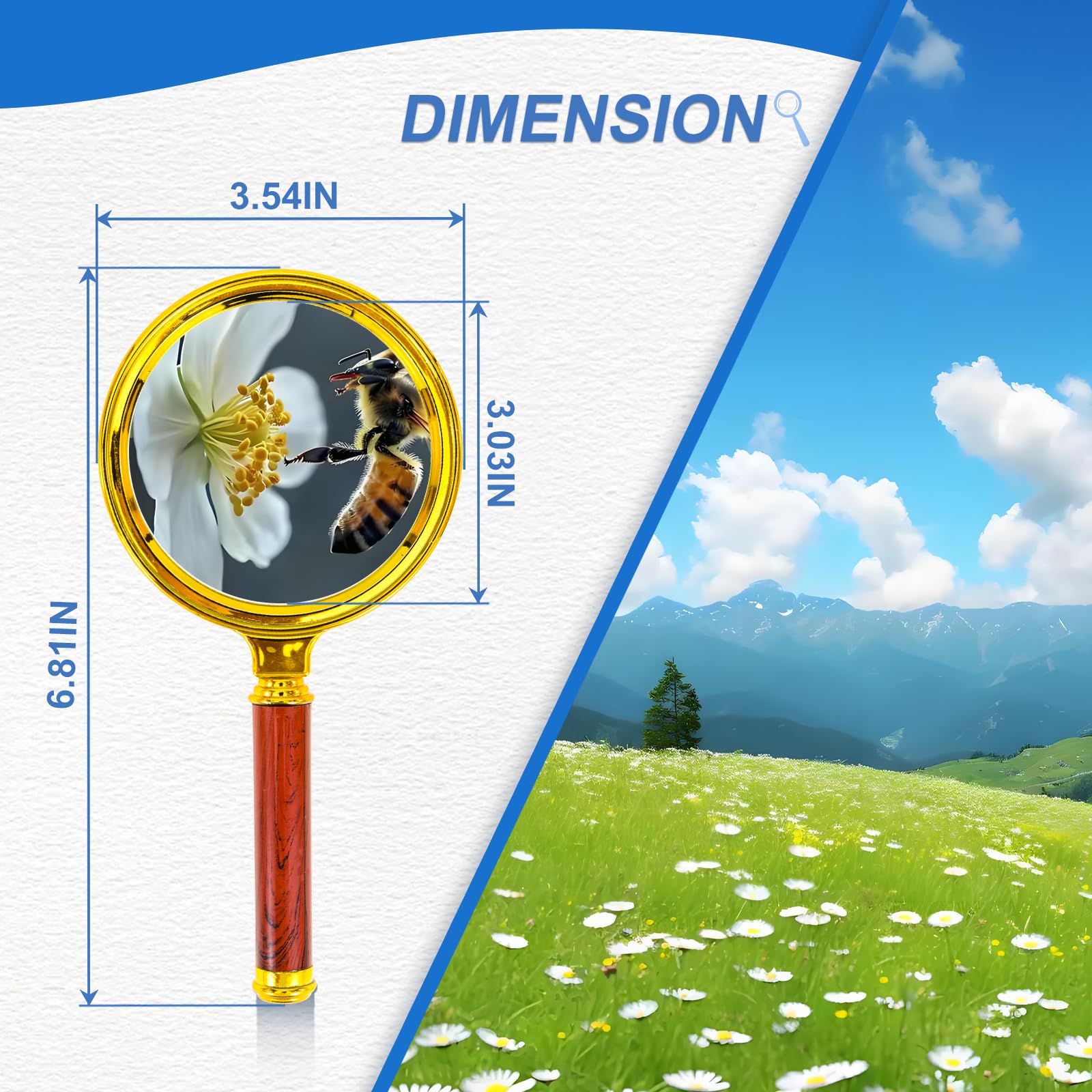 10x Handheld Magnifier, Reading Magnifier for Children and Seniors, Suitable for Hobby and Science, 90mm Plastic Gold-Plated Frame with Electroplated Gold Handle