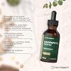 Horbaach Chlorophyll Drops 100 ml from Pure Alfalfa Vegan Chlorophyll Liquid High Dose and No Preservatives