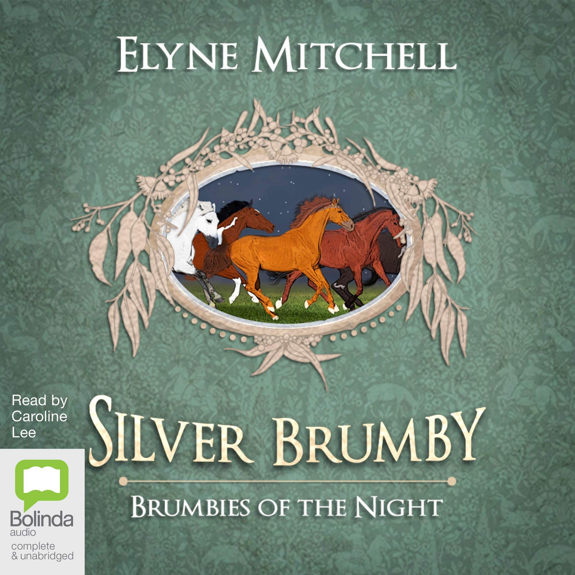 Cover art for Brumbies of the Night